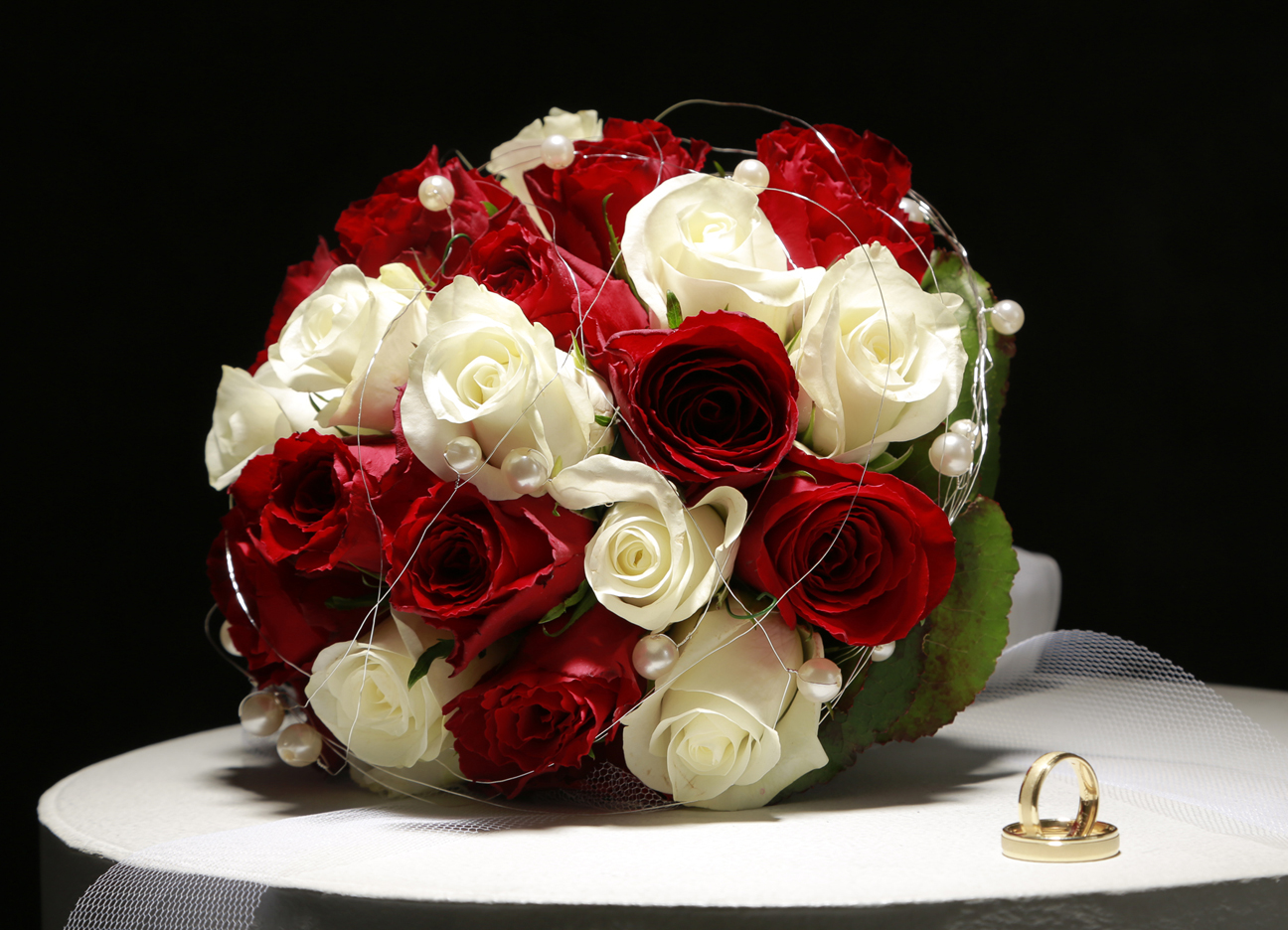 B 43 72 dpi  Fotostudio 900383 Schneider